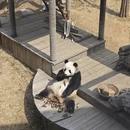 大连旅游 缩略图 3