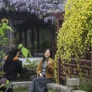 苏州旅游 缩略图 14