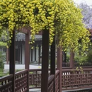 苏州旅游 缩略图 3
