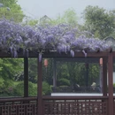 苏州旅游 缩略图 15