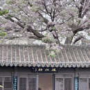 苏州旅游 缩略图 16