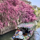 苏州旅游 缩略图 3