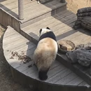 大连旅游 缩略图 4