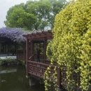 苏州旅游 缩略图 8