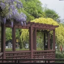 苏州旅游 缩略图 9