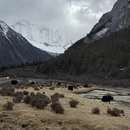 阿坝旅游 缩略图 1
