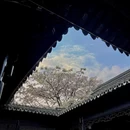 苏州旅游 缩略图 17