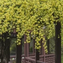 苏州旅游 缩略图 13