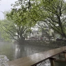 黄山旅游 缩略图 7