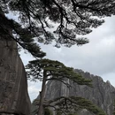 黄山旅游 缩略图 11
