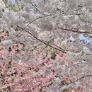 北京旅游 缩略图 2