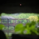 苏州旅游 缩略图 16