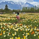 丽江旅游 缩略图 6