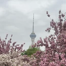 北京旅游 缩略图 4