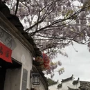 黄山旅游 缩略图 14