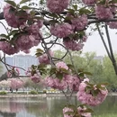 北京旅游 缩略图 9