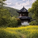 黄山旅游 缩略图 4