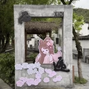 黄山旅游 缩略图 13