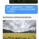黄山旅游 缩略图 1