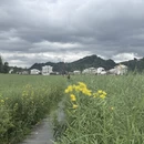 黄山旅游 缩略图 3