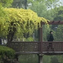 苏州旅游 缩略图 11
