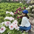 洛阳旅游 缩略图 5