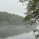 黄山旅游 缩略图 6