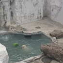 大连旅游 缩略图 11