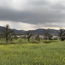黄山旅游 缩略图 9