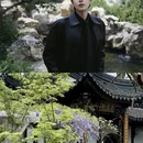 苏州旅游 缩略图 12