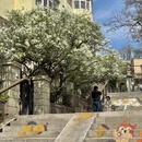 青岛旅游 缩略图 4
