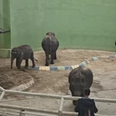 大连旅游 缩略图 10