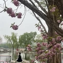 北京旅游 缩略图 10