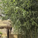 大连旅游 缩略图 12