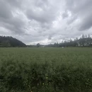 黄山旅游 缩略图 2
