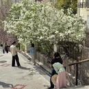 青岛旅游 缩略图 2