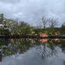 黄山旅游 缩略图 15