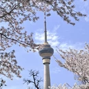 北京旅游 缩略图 6