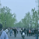 杭州旅游 缩略图 1