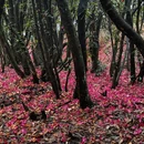 毕节旅游 缩略图 17