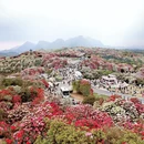 遵义旅游 缩略图 5