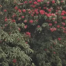 毕节旅游 缩略图 18