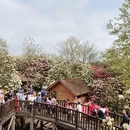 遵义旅游 缩略图 12