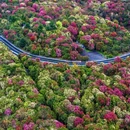 贵阳旅游 缩略图 6