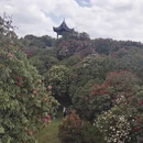 遵义旅游 缩略图 6