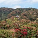 毕节旅游 缩略图 3