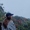 毕节旅游 缩略图 4