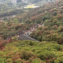 毕节旅游 缩略图 5