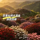 毕节旅游 缩略图 1
