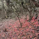 贵阳旅游 缩略图 9
